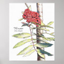 Suche nach druiden poster Pagan