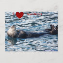 Suche nach otter in der liebe poster Meer