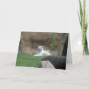 Suche nach sibirischer tiger karten Zoo