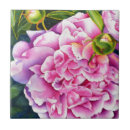 Suche nach alte rose fliesen Rosa