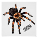 Suche nach tarantula poster Tarantel