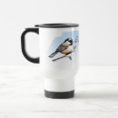 Suche nach chickadee Spaß