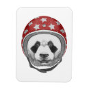 Suche nach lustiger panda magnete Bär