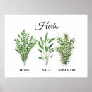 Suche nach rosmarin poster Salbei