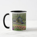 Suche nach cottage tassen Haus
