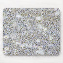 Suche nach forschung mousepads Experiment