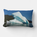 Suche nach eisberg kissen Natur
