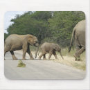 Suche nach große ohren mousepads Afrika
