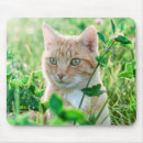 Suche nach große mit augen katze mousepads Niedlich