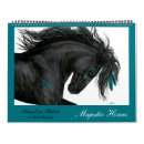 Suche nach horses kalender Pferdekalender
