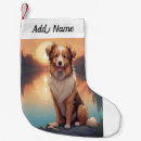 Suche nach border collie schmuck Für haustiere