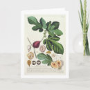 Suche nach botanische kunst karten Pflanzen