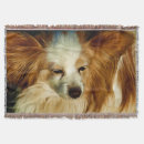 Suche nach papillon decken Welpe