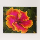 Suche nach hibiskus puzzle Hawaii