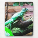 Suche nach eidechsen mousepads Natur