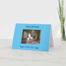 Suche nach niedliches kätzchen karten Tabby