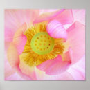 Suche nach knospe poster Farbe