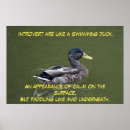 Suche nach duck poster Schwimmbad