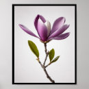 Suche nach magnolia poster Blumenreich