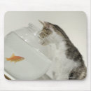 Suche nach wachsamkeit mousepads Studioschuß