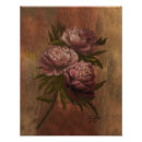 Suche nach pfingstrosen poster Rosa