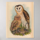 Suche nach vintage vögel kunst Eule