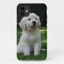 Suche nach der welpe iphone hüllen Retriever