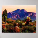 Suche nach aberglaube poster Saguaro kaktus