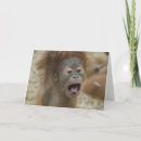 Suche nach bad hair day postkarten Affe