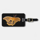 Suche nach motte gepäckanhänger Insekten