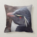 Suche nach rockhopper pinguin Pinguine