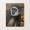 Suche nach säugetiere puzzle Affe