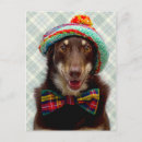 Suche nach bowtie postkarten Hund