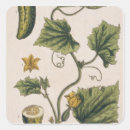 Suche nach veg aufkleber Botanisch