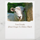 Suche nach bauernhof flyer Tiere