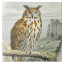 Suche nach vintage eule fliesen Tier