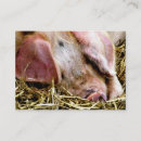 Suche nach schweine visitenkarten Hunde