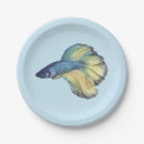 Suche nach aquarium teller Blau