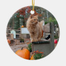 Suche nach ingwer ornamente Katze