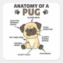 Suche nach anatomie aufkleber Hundebesitzer