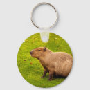 Suche nach capybara schlüsselanhänger Niedlich