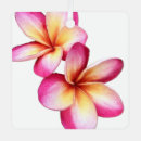 Suche nach plumeria ornamente Frangipani