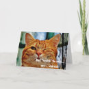 Suche nach kratzen postkarten Spaß