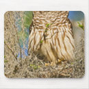 Suche nach lebensraum mousepads Usa