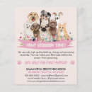 Suche nach hunde 14x11 flyer Tierarzt