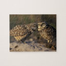 Suche nach owl puzzle Natur