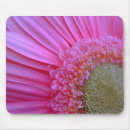 Suche nach gerbera mousepads Natur