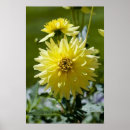 Suche nach gerahmte drucke poster Blume