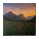 Suche nach gletscher fliesen Landschaft