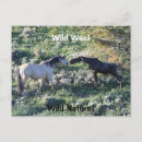 Suche nach funny horse postkarten Niedlich